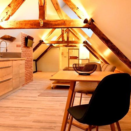 Loft Sous Les Combles - Loft Under The Rafter Lejlighed Rodez Eksteriør billede